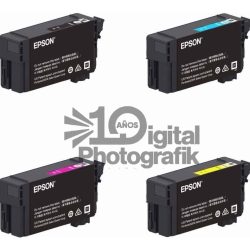 Cartuchos T40V para Epson T3170